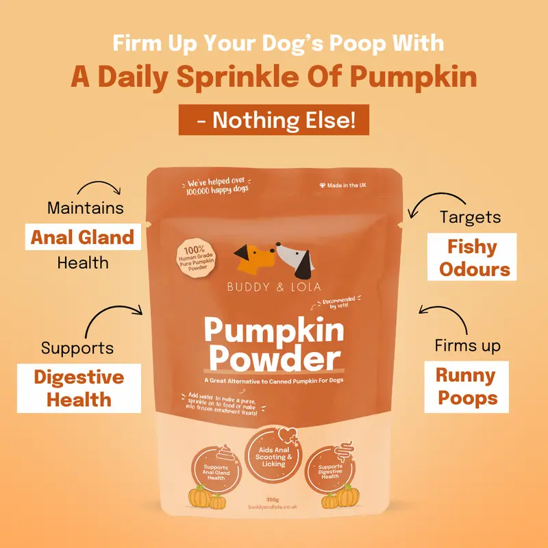 Buddy & Lola | Pumpkin Powder for Dogs | Helps with Dog Constipation & Diarrhoea | Canned Pumpkin Puree Alternative | Bursting with Dog Vitamins & Essential Nutrients | Dog Gut Health Product 1