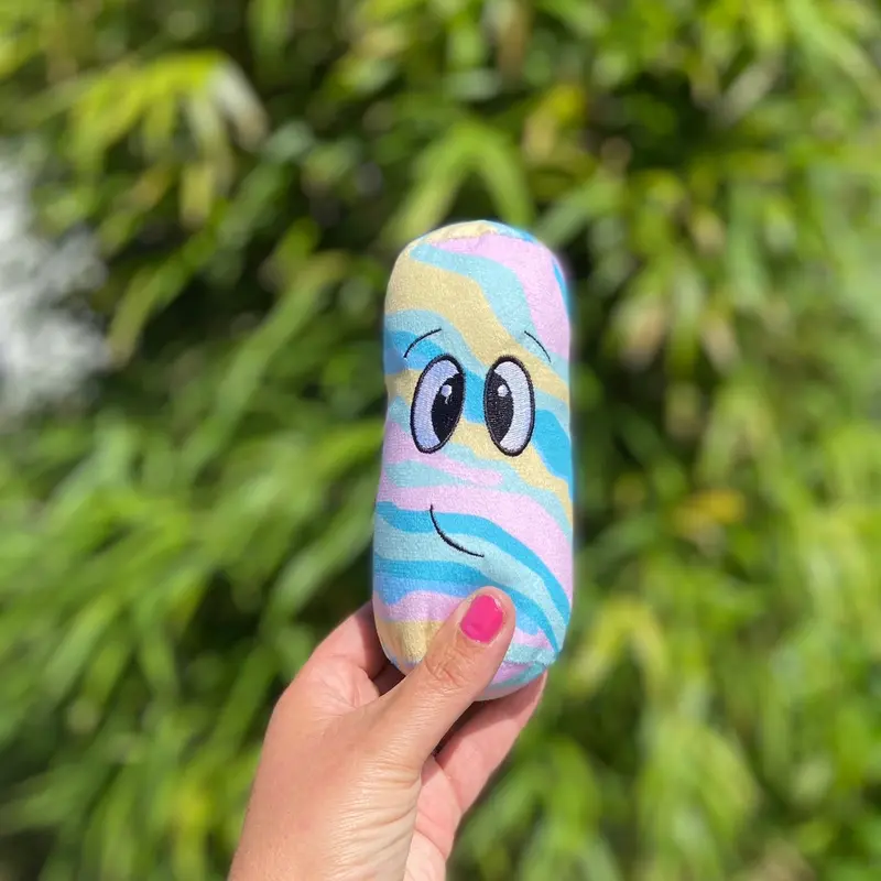 Positivity Pet Plushie 1