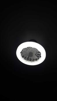 Product Review of Ceiling Fan with LED Lights for Bedroom, 3-speed LED Fan Lamp, Modern Remote Control Fan with LED Light, Indoor Cozy Lighting, Decorative Fan Night Light for Living Room from n**a 0