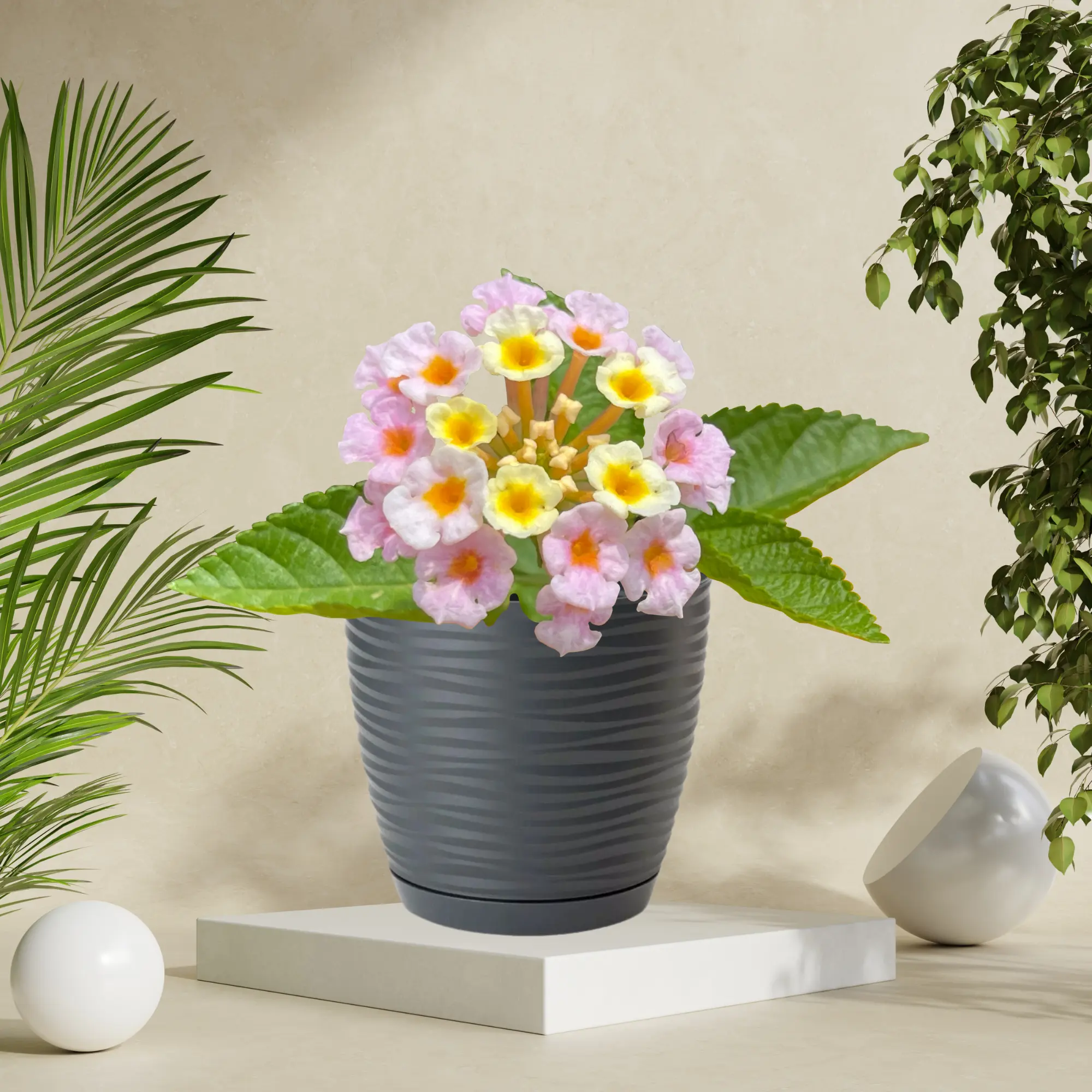 3D Round Plant Pot Cover with Drainage Holes & Saucer | Indoor Outdoor Succulent Planter - Plastic garden  pots