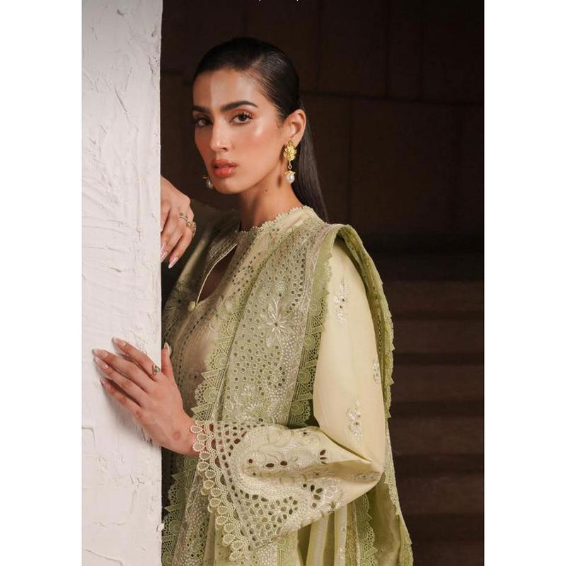AL24V4-02 - KELLY - Readymade - Chickenkari Lawn Collection by Afrozeh 2024 2