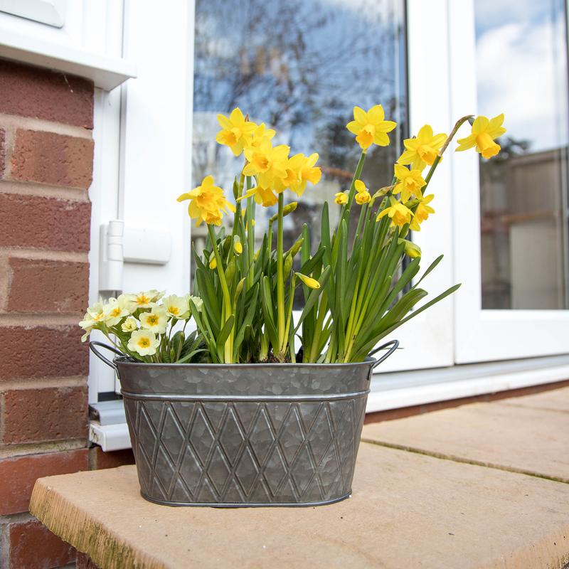 Marko Gardening Large Oval Handle Galvaniseed Metal Plant Pot Planter Garden Balcony Flower Tub 1