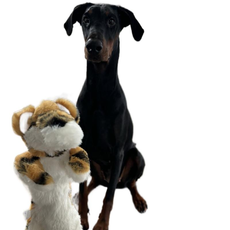 Unstuffed Animal Squeaky Dog Toy - Soft Skunk or Tiger 3
