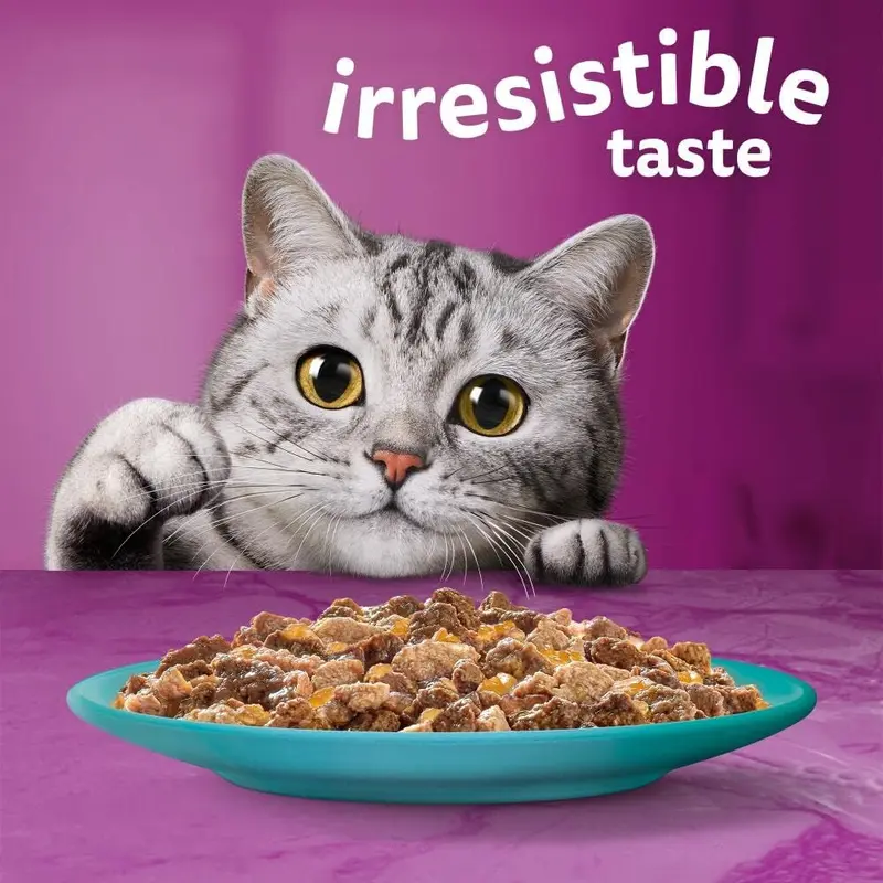 Whiskas Tasty Duo 1+ Ocean Delight in Jelly 48 x 85 g Pouches, Adult Cat Food - Pack of 4 (12 x 85 g) 5