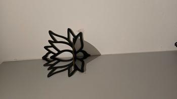 Product Review of Room Decor Lotus Shaped Wall Mounted Shelf, Creative Hollow Out Design Wall Decor Rack, Storage for Bedroom, Multifunctional Wall Decor for Home Living Room Bedroom, Gift for Girlfriend, Autumn Home Decor from o**1 0