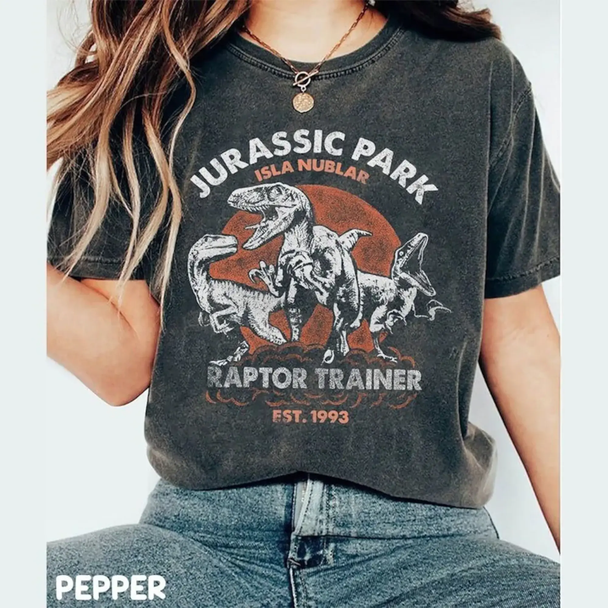 Vintage Jurassic Park Graphic T-Shirts, Dinosaur T-rex Shirts, Vacation Shirts