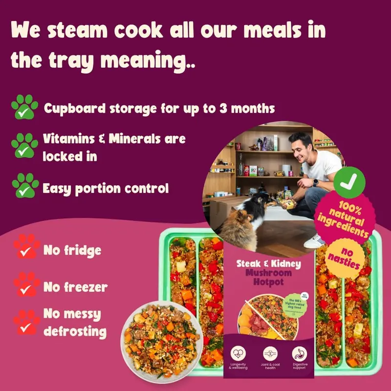 4x Steak & Kidney Mushroom Hotpot Adult Dog Food | Grain Free | Years Complete Nutritional Fresh Wet Dog Food |  Hypoallergenic 5
