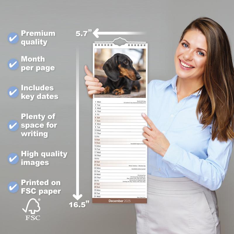Dachshund Calendar 2025 Slimline Wall Hanging Calendar 5