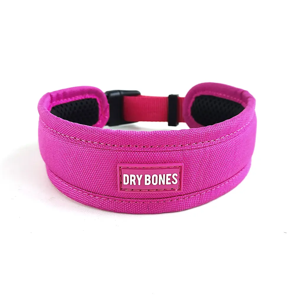 DRYBONES - DOG - ACCESSORIES - PINK COLLAR