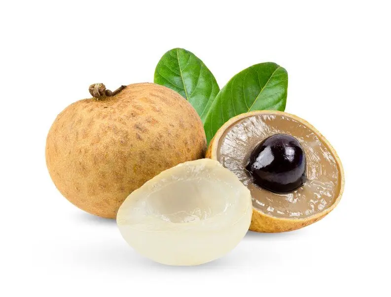 Longan - My Exotic Fruit