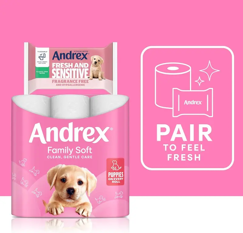 Andrex Family Soft Toilet Tissue 24 Toilet Rolls (Previously Andrex Gentle Clean Toilet Paper), Gentle on your Family’s skin– Bulk Pack of 24 Toilet Rolls, Packaging May Vary 4