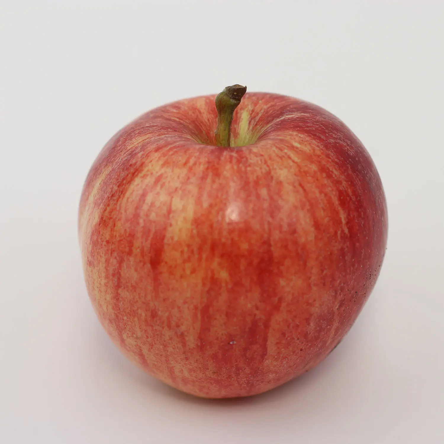 Apple Royal Gala x 2