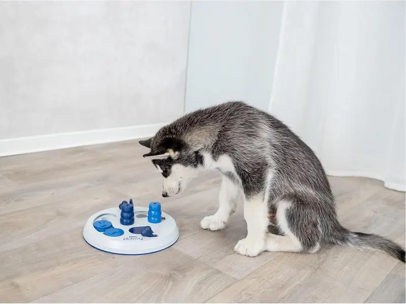 Interactive Dog Toy, Puzzle Toy, Funny Feeding Treat Dispenser, Strategy Game Activity Toy funny  toy feeder puppy  toys toys  for  dogs dog  training  aid treat  dispenser 4