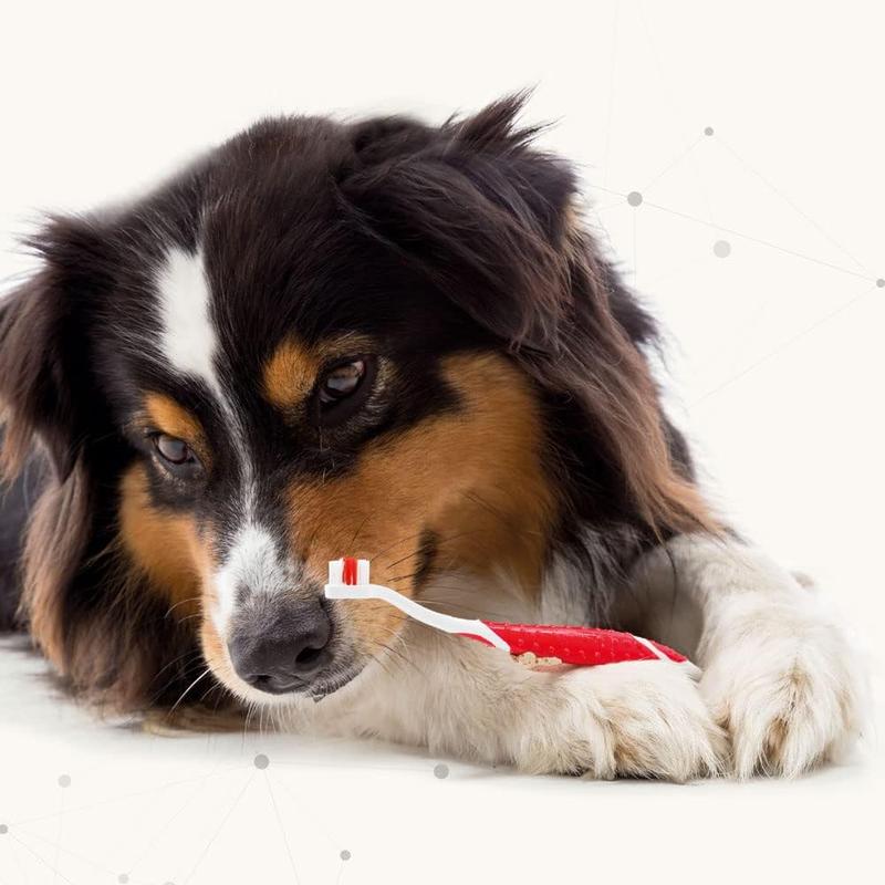 Toothpaste Dental Care for Dogs & Cats 100g Tube teeth cleaning 3