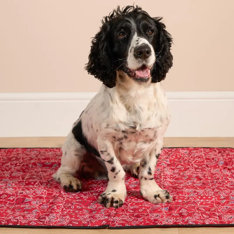 OHS Pet Dog Cat Cooling Gel Mat Bed Resting Pad 6