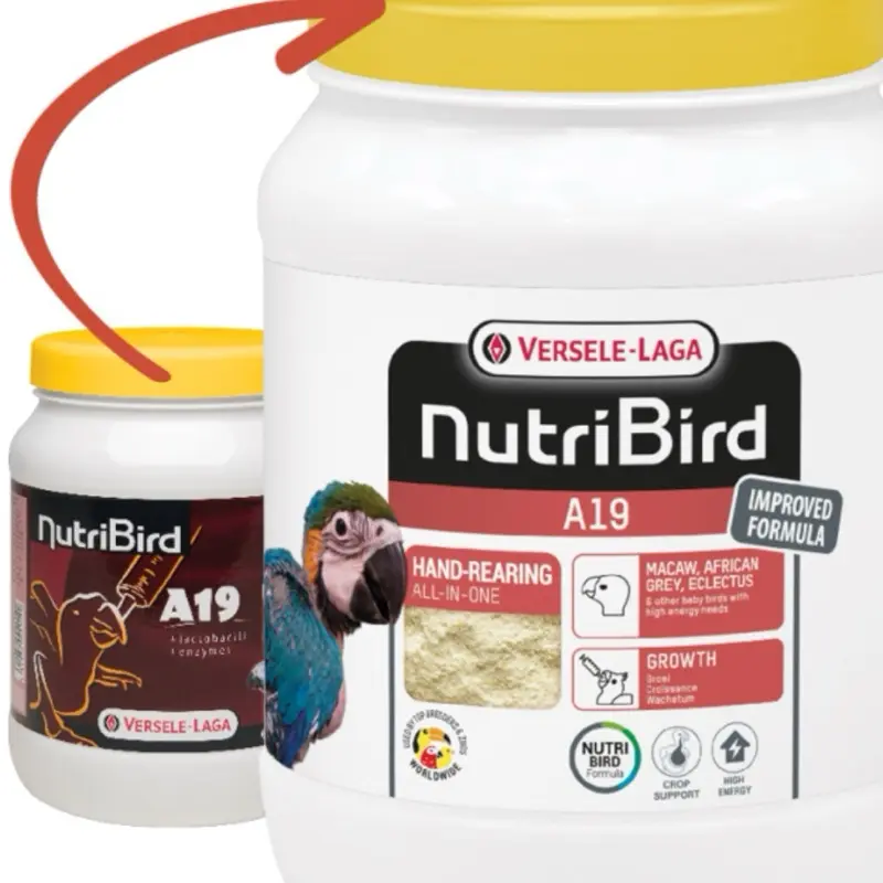 Nutribird A19 Hand Rearing Bird Food 800g for Pet Birds