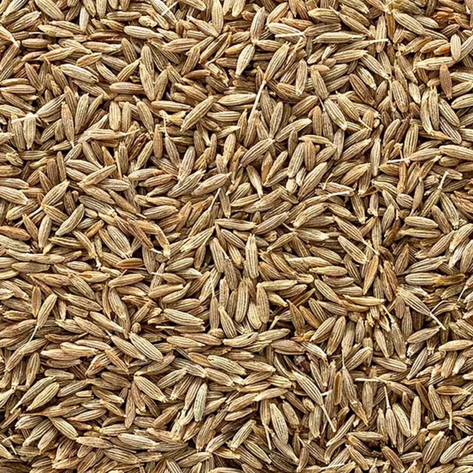 Cumin (Whole)