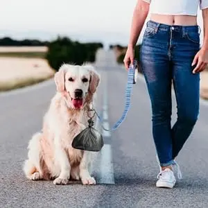 5 pcs Pet Poop Bag Clip Dog Poop Bag Holder Hands Dog Waste 4