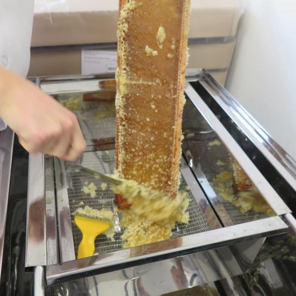 Delicious all natural British Honey with a chunk of Honey Comb in every jar - Direct from the beekeeper 3