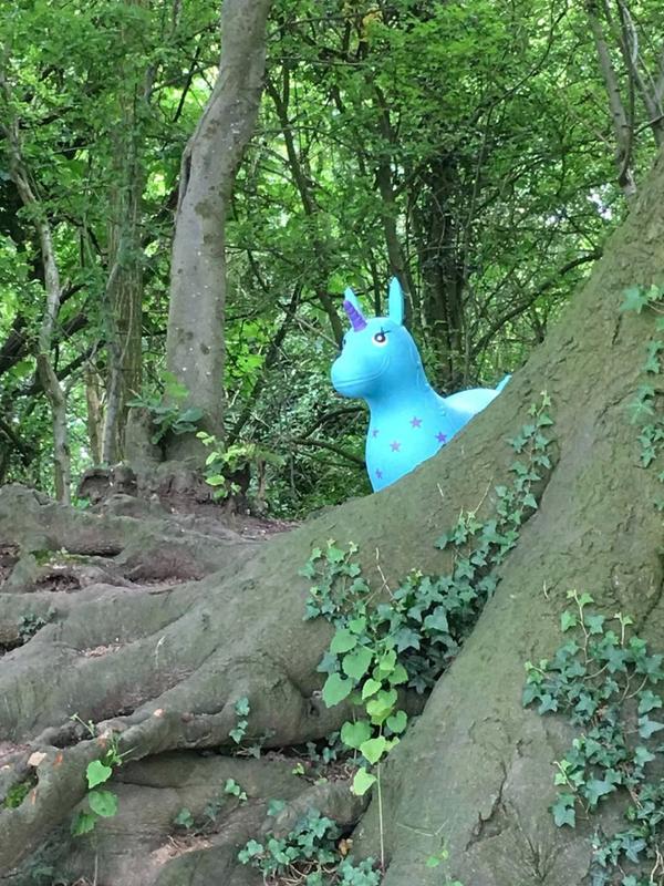 Turquoise Unicorn - Happy Hopperz Children Toy for Boys and Girls. Our kid's toy is perfect for muscle and core development, an educational toy, or a kids' gift. Our animal hopper is great for hours of endless fun and can be used indoors and outdoor! 7