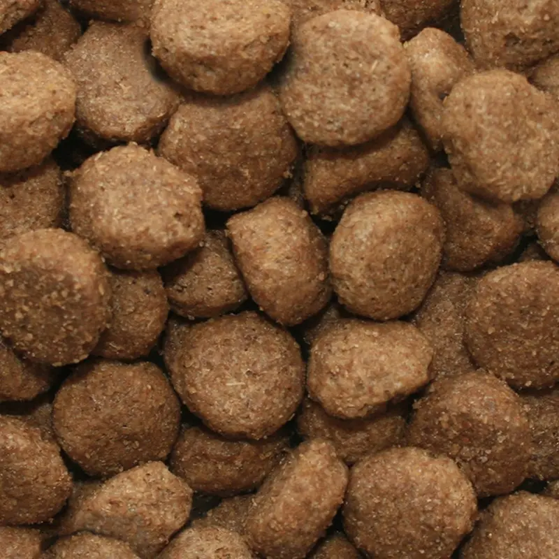 Dr John Wheat-Free Hypoallergenic Dry Dog Food - Chicken with Rice Dog Food 12.5kg - Complete Nutrition for Adult and Senior Dogs with Sensitive Digestion 1
