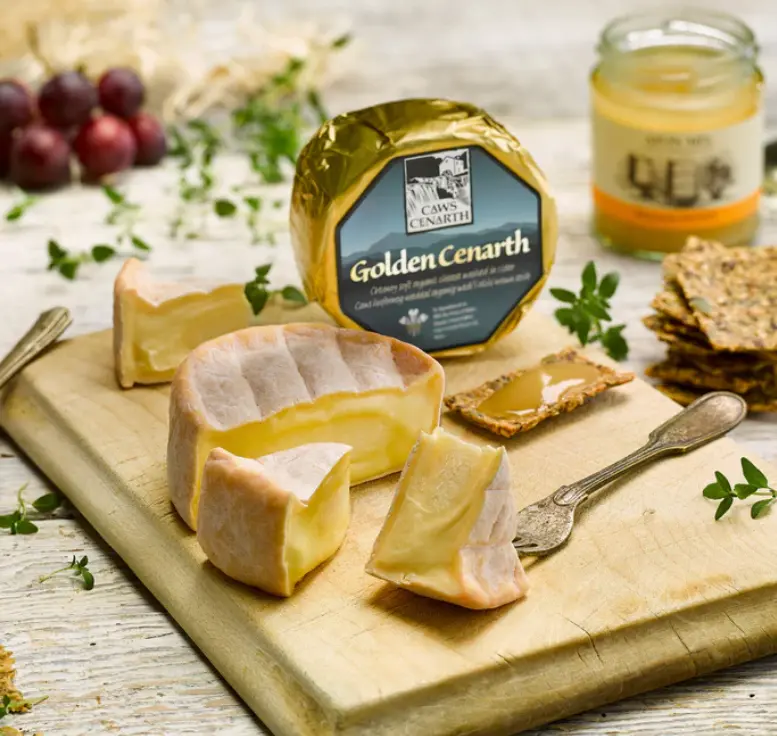 Golden Cenarth Organic Semi-Soft Cheese with Nutty Flavour