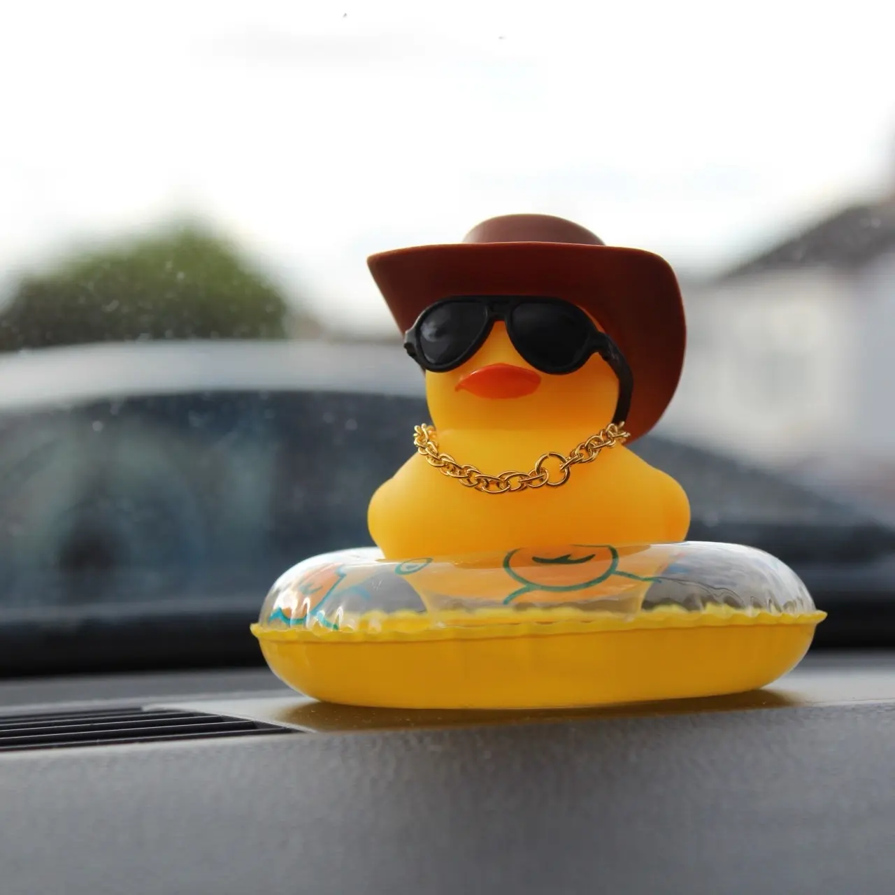 Dashboard Coyboy Duck
