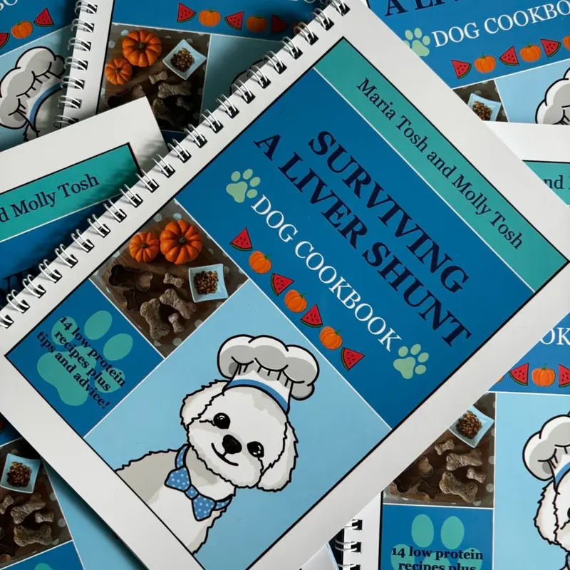 Dog Recipe Book: Surviving a Liver Shunt - low protein dog recipe book - digestive care for dogs 2