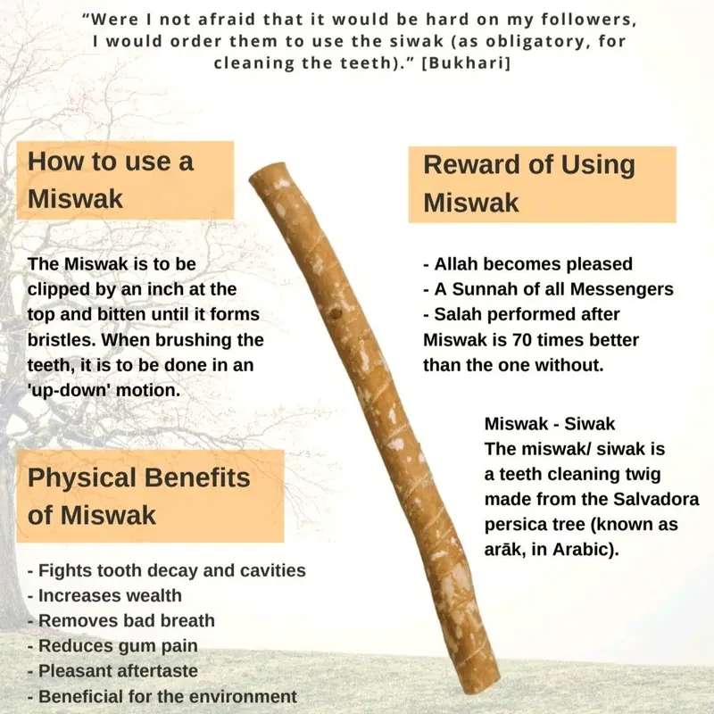 Miswak - A Natural Toothbrush Oral Traditional - Miswak Natural Toothbrush - Eco-Friendly Oral Care 2