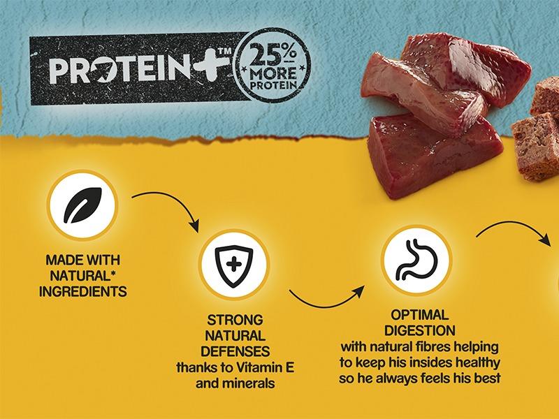 Pedigree Dog Food Tins | Protein + Plus (25% Extra Protein) | Complete Wet Food for Adult Dogs | High Quality, Natural Ingredients | Bulk Buy Deals Available | Turkey, Chicken, Duck, Beef, Game & Poultry Flavours in Pate Style Loaf 8