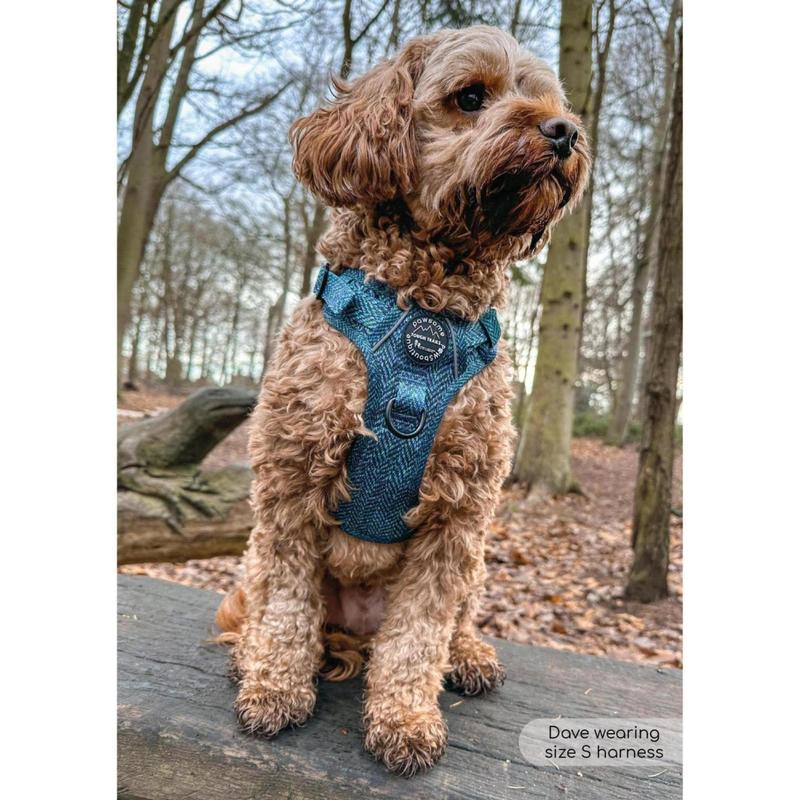 Tough Trails™ Harness - Country Teal 2