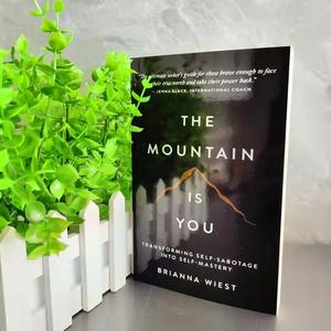 The Mountain Is You: Transforming Self-Sabotage Into Self-mastery English Book