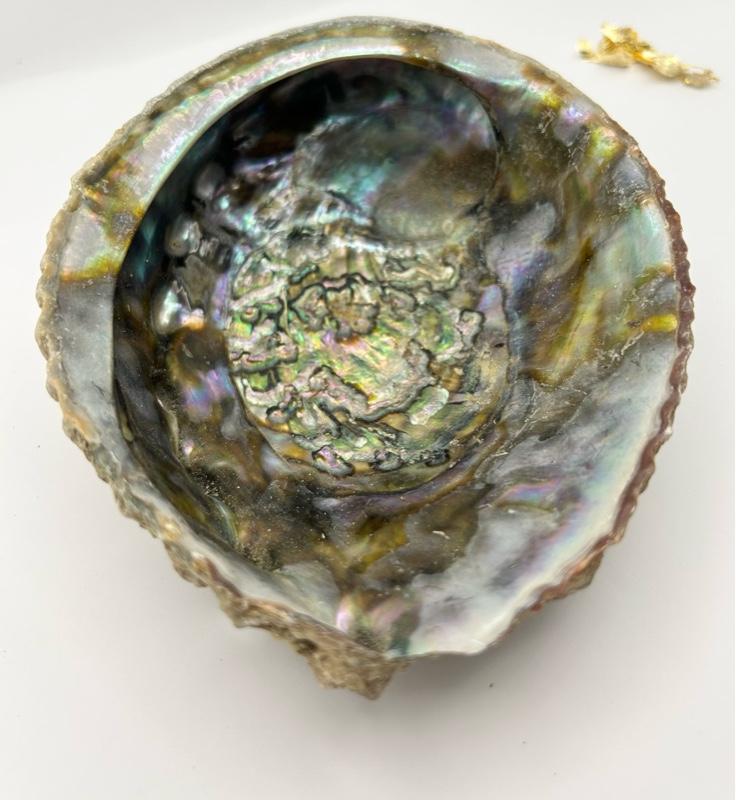 Product Introduction of Abalone shell smudging and cleansing set  White sage Sage Scent Aroma 5