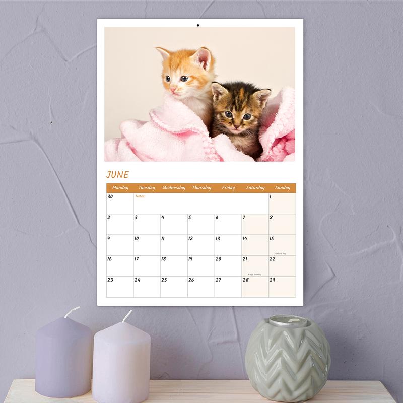 Papa Prints 2025 A4 UK Cat Calendar 12 Months of Adorable Felines & Family Fun 2