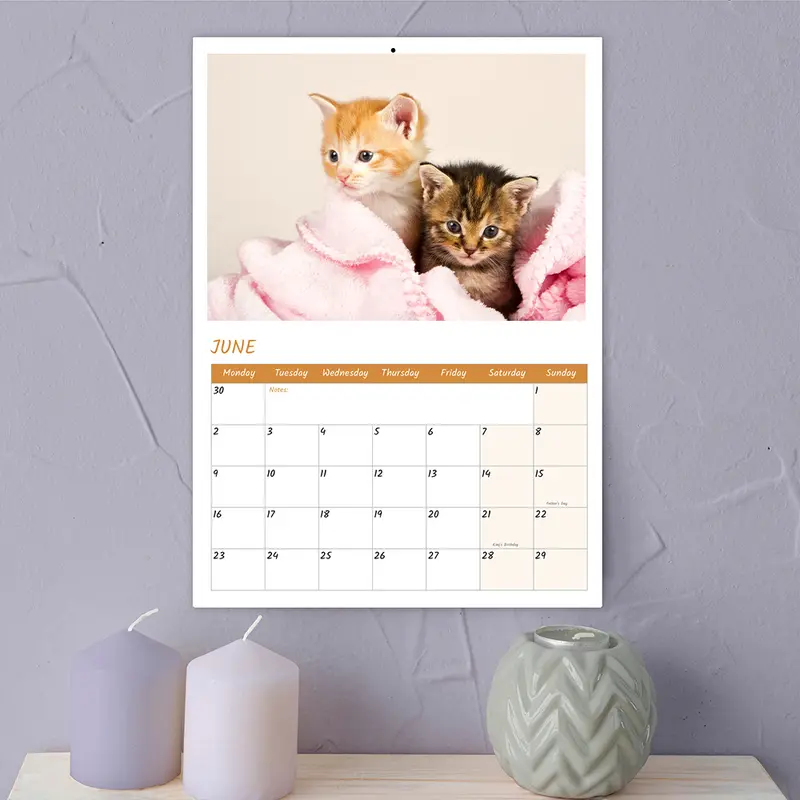 Papa Prints 2025 A4 UK Cat Calendar 12 Months of Adorable Felines & Family Fun 2