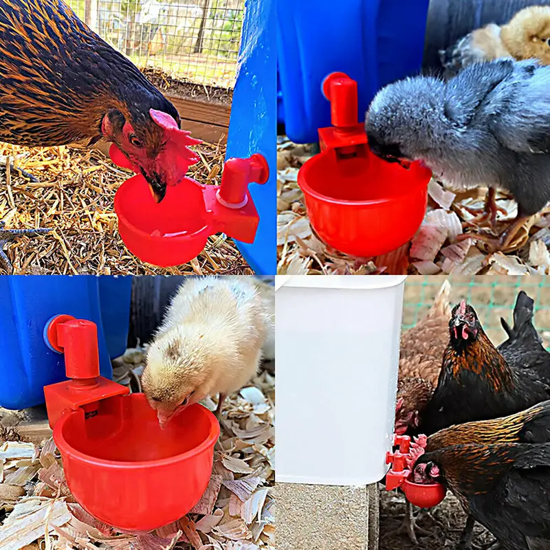 1PC Automatic Chicken Water Cup Waterer Poultry Drinking Bowl Feeder Drinker Tool 4
