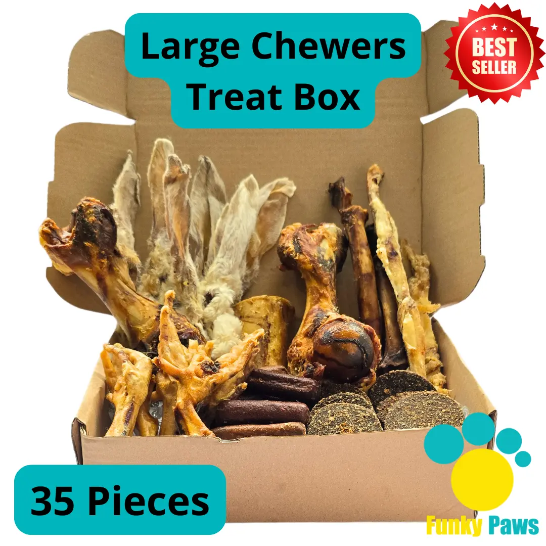 35 Piece All Natural Large Chewers Treat Box