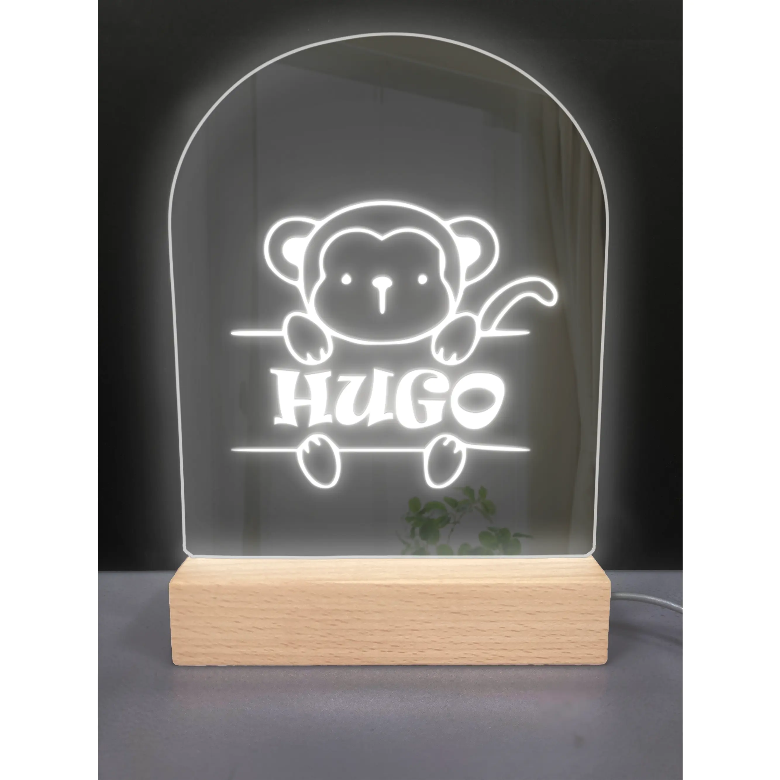 LED Night Light - Personalised - Monkey