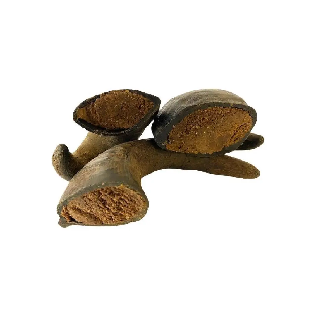 Filled buffalo horns