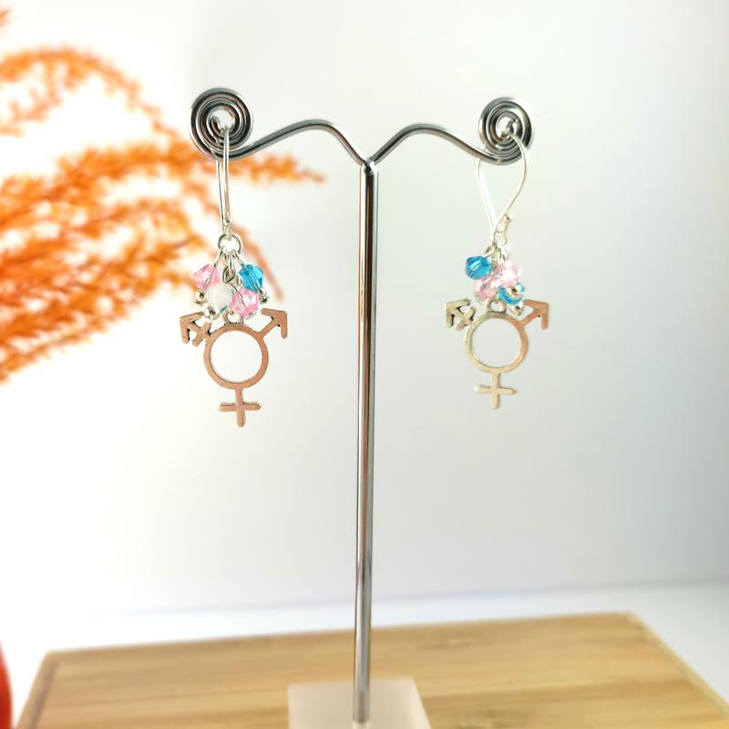 Trans Pride Earrings 3