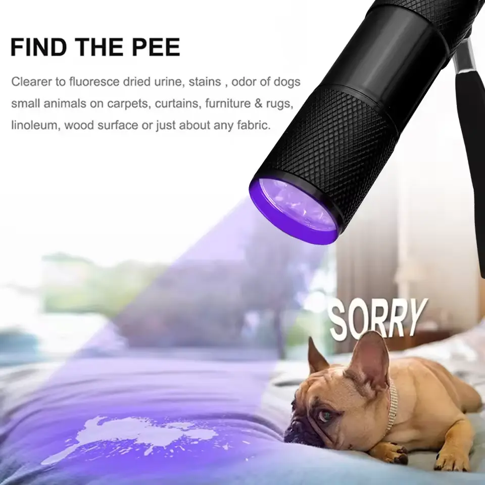 Mini UV Flashlight 395nm LED Ultraviolet Torches Zoomable Ultra Violet Lights Inspection Lamps Pet Urine Detector Stain Lights