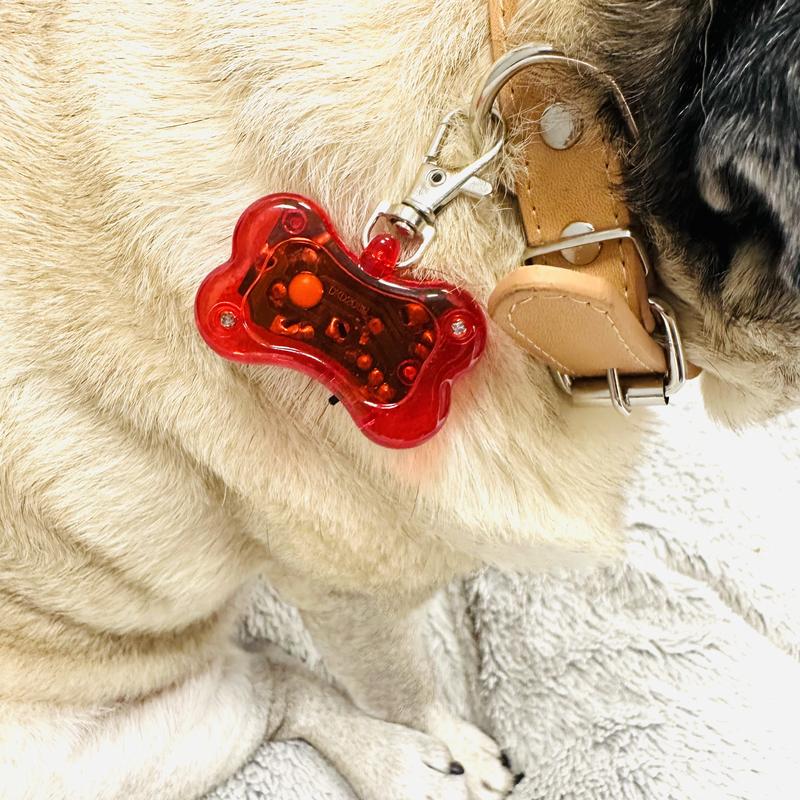 Hi Visibility LED Pet Safety Flasher Light - Collar Clip - Flashes with red light for dark nighttime dog walking visibility. Water resistant. 3