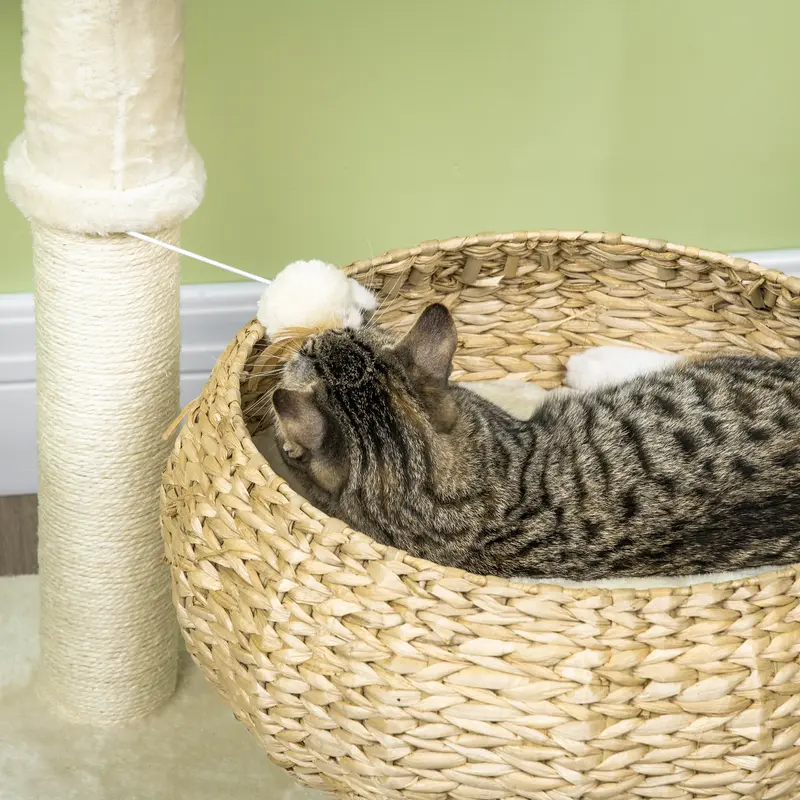 PawHut 72cm Cat Tree Kitten Tower, with Sisal Scratching Post, Two Beds, Toy Ball 7
