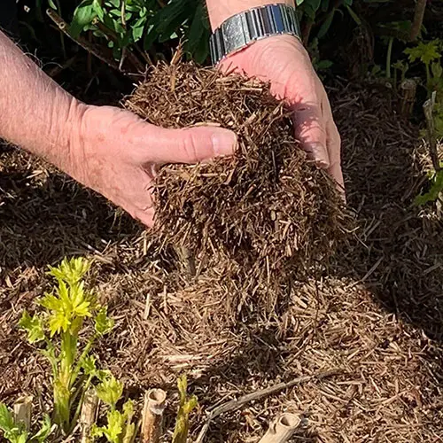 2 x 100L Strulch Mulch Straw Mulch in 9kg Bags, Natural Straw Mulch for Gardens 0