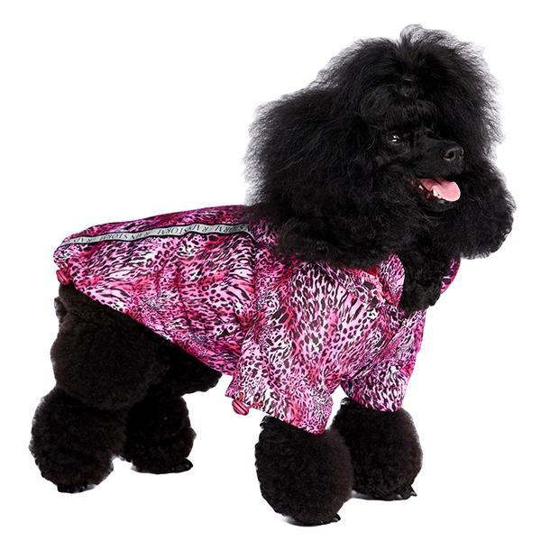 Product Introduction of Pink Rainstorm Rain Coat for Dogs - Embrace the Elements with the Pink Rainstorm Raincoat from Urban Pup 12