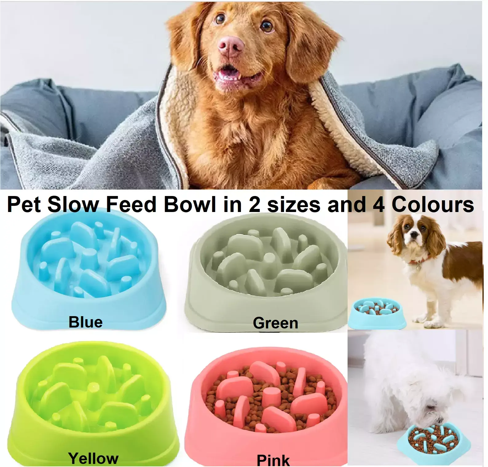 Dog Bowl Slow Feeder Pet Bowl Anti Slip Puppy Feed Bowl Interactive Feeding Dish