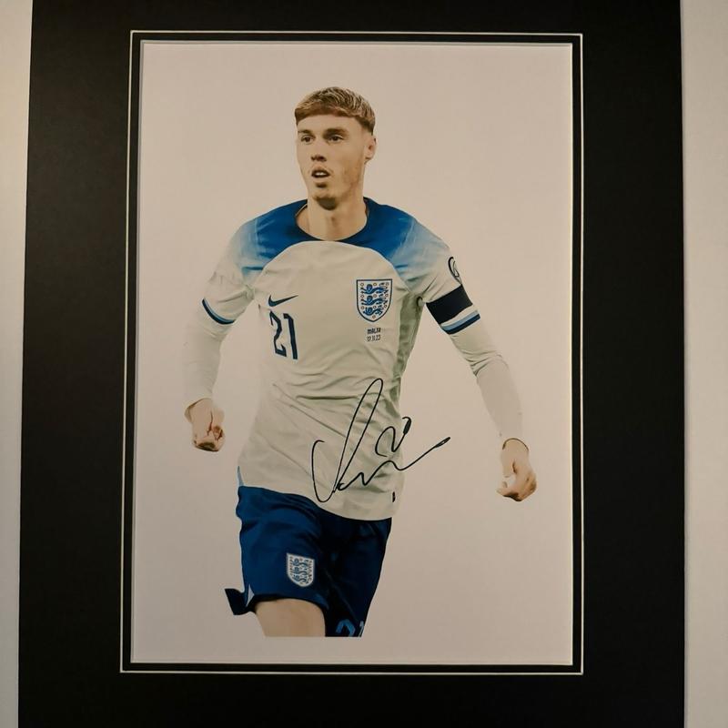 Cole Palmer Photo Mount, 16x12in Mount with Pre-Printed Signature and Text Box, Mounted in Aqadia High Quality White Core Mountboard - Frames, Decor 1