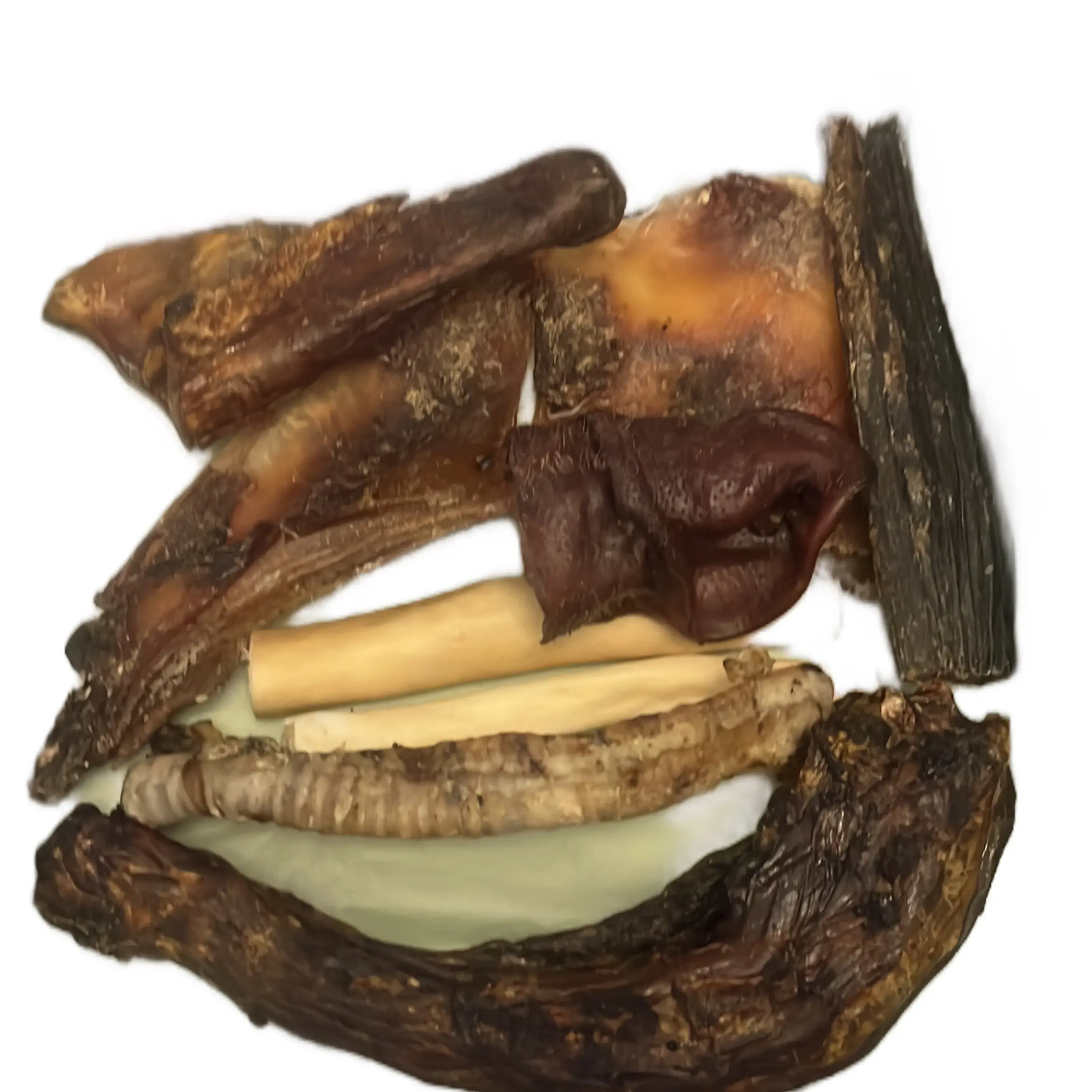 Tough Chewer Dog Treat Munch Box - Perfect for tough chewers pet