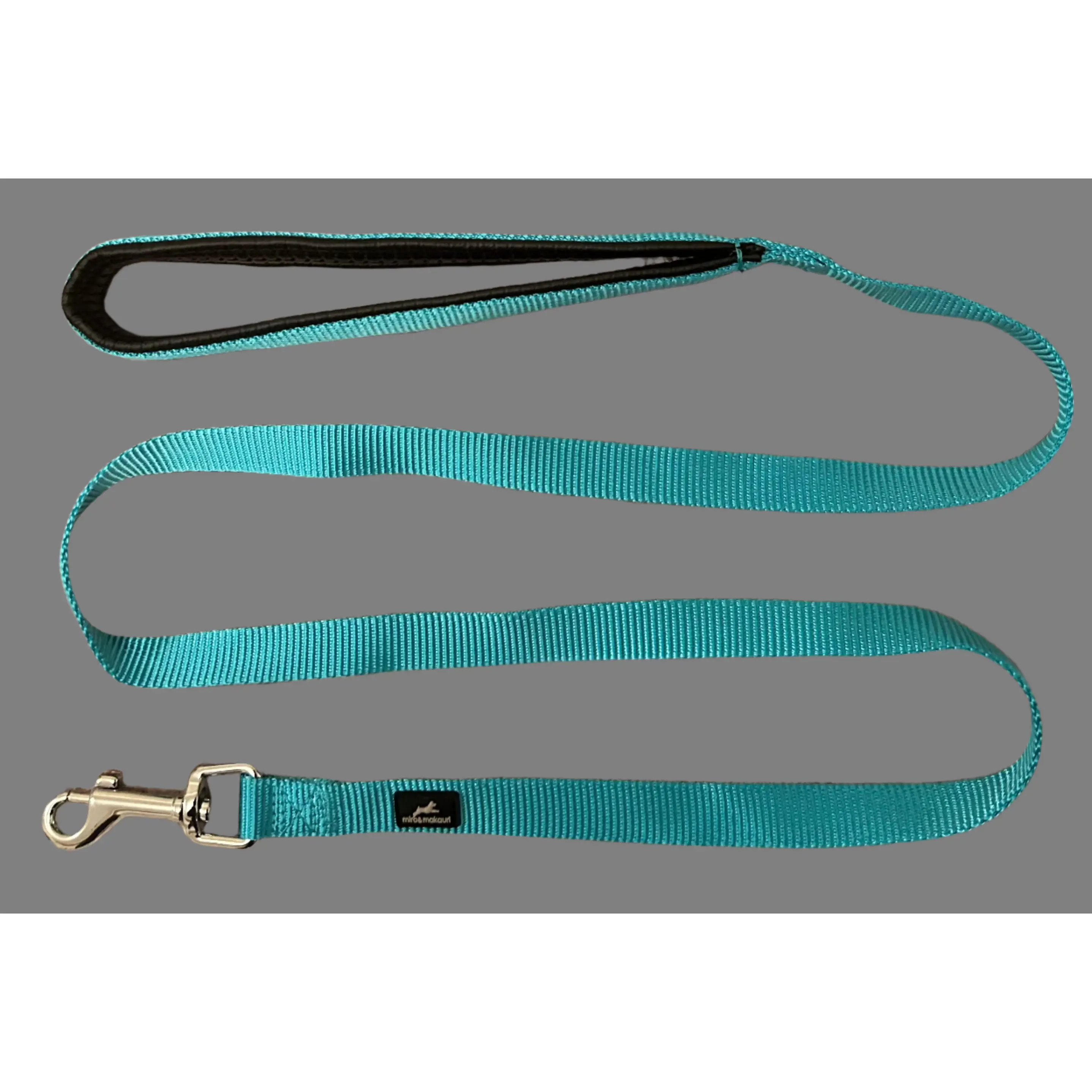 Sky blue nylon dog lead