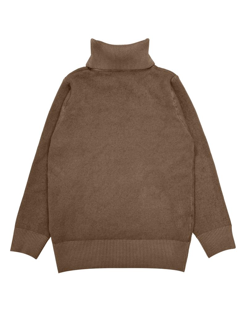 Product Introduction of Women's Thickened Fleece Lined Slim Fit Top, Warm Turtleneck Pullover, Casual Style Long Sleeve Base Layer Top For Winter Knitwear Womenswear Underwear Comfort Lady Knitting 5